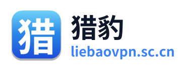 猎豹VPN Logo